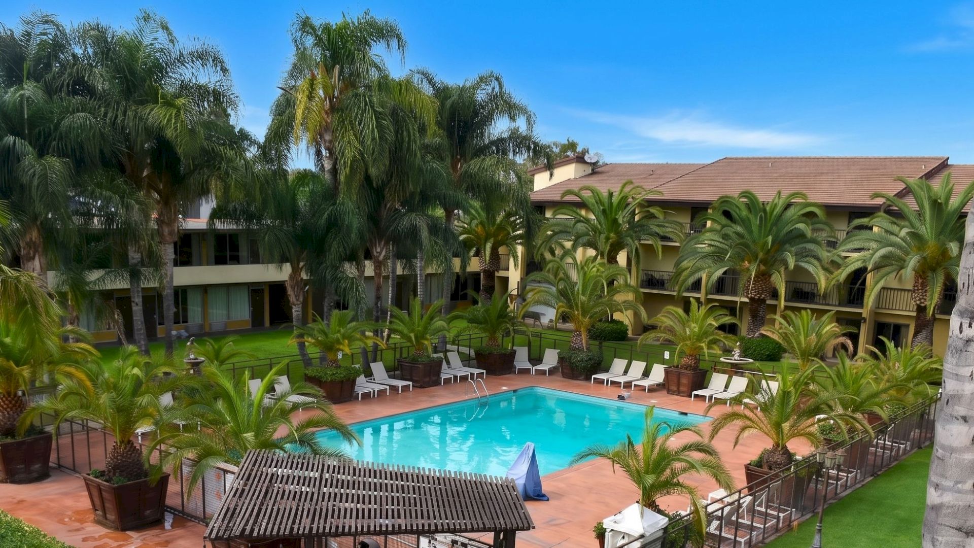 A tropical resort pool area with palm trees, a central kidney-shaped pool, surrounding lounge chairs, and a tiled terrace, all overlooking a courtyard.
