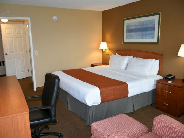 A hotel room with a king bed, two nightstands, lamps, a desk and chair, brown walls, and two pink ottomans in front of the bed.